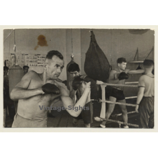 Group Of Boxers Training / Sparring - Speedball (Vintage Photo 1946)