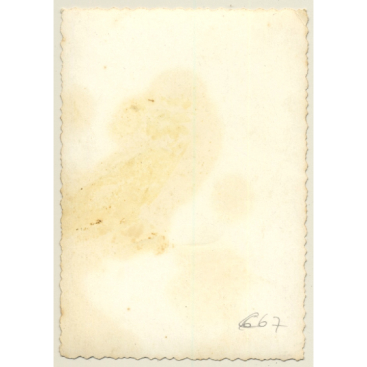 Portrait Of Natural Shorthaired African Woman (Vintage Photo ~1960s)