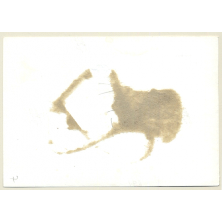 Dressed Maid Tied In Rack*1 / Bondage - BDSM (2nd Gen.Photo ~1960s)