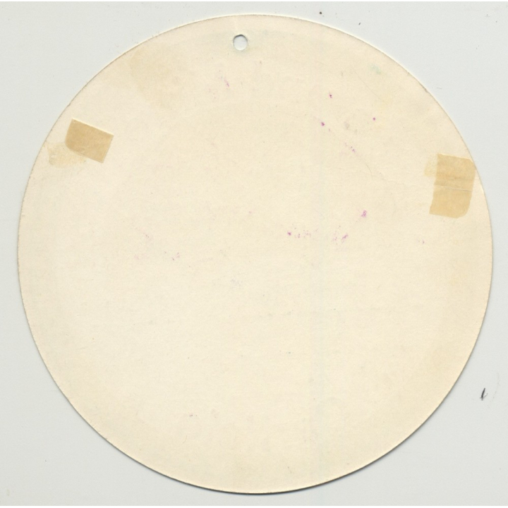 Crown And Mitre Hotel - Carlisle / Great Britain (Vintage Luggage Tag) TRUST HOUSE