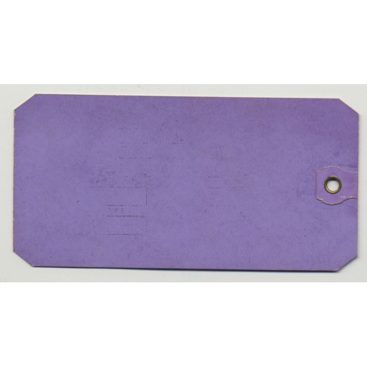 Dollar Steamship Lines - First Class (Vintage Luggage Tag / Label)