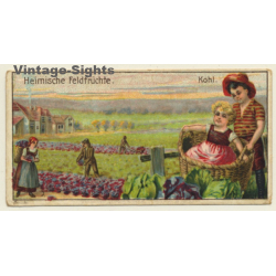 Kallmeyer Dampf-Kaffeerösterei: 1 x Heimische Feldfrüchte (Sammelkarten / Vintage Trading Cards )