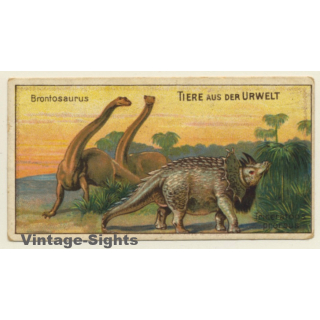 Kallmeyer Dampf-Kaffeerösterei: 1 x Tiere Aus Der Urwelt (Sammelkarten / Vintage Trading Cards )