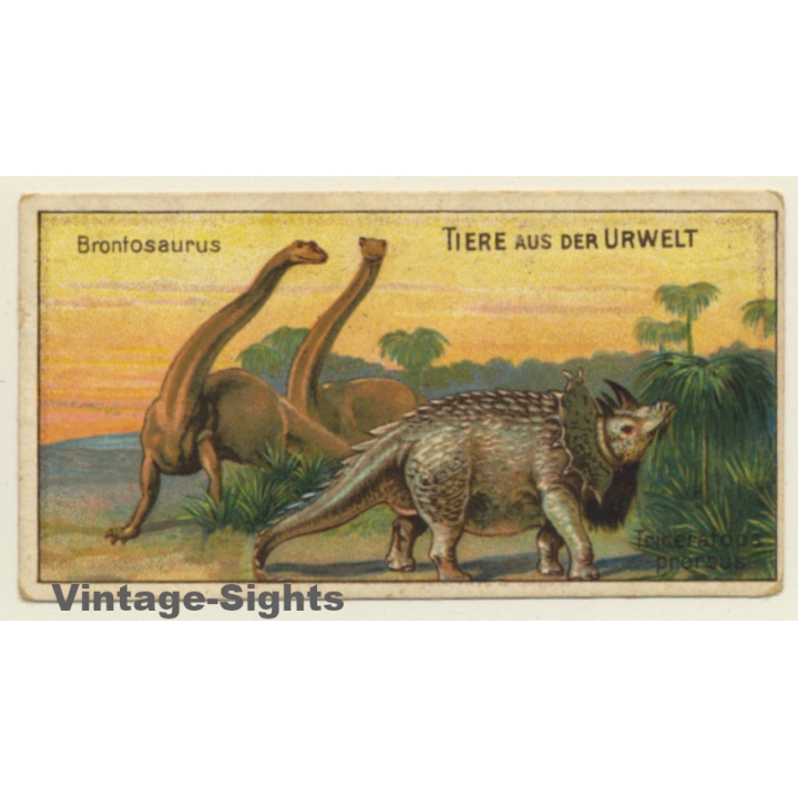 Kallmeyer Dampf-Kaffeerösterei: 1 x Tiere Aus Der Urwelt (Sammelkarten / Vintage Trading Cards )