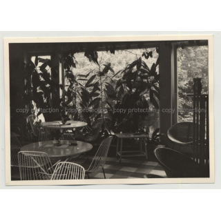 50s/60s Wintergarden W. Design Chairs & Stools / Interior - Design (Vintage Photo)