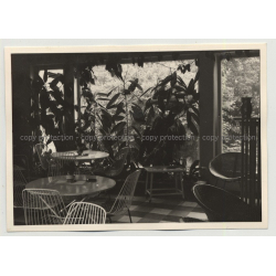 50s/60s Wintergarden W. Design Chairs & Stools / Interior - Design (Vintage Photo)