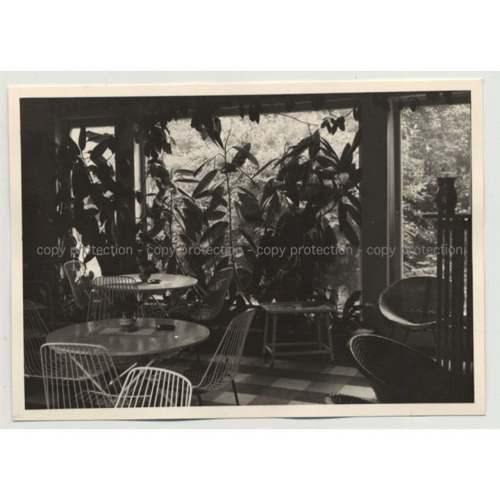50s/60s Wintergarden W. Design Chairs & Stools / Interior - Design (Vintage Photo)