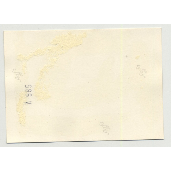 50s/60s Wintergarden W. Design Chairs & Stools / Interior - Design (Vintage Photo)