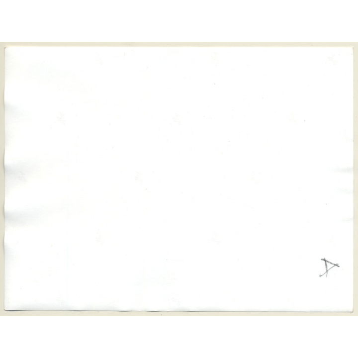 Intense Take Of Pretty Nude On Chair / Lace (Large Vintage Photo 1960s/1970s)