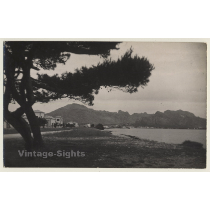 Pollensa - Pollença / Mallorca: The Port (Vintage RPPC ~1940s/1950s)