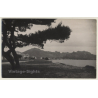 Pollensa - Pollença / Mallorca: The Port (Vintage RPPC ~1940s/1950s)