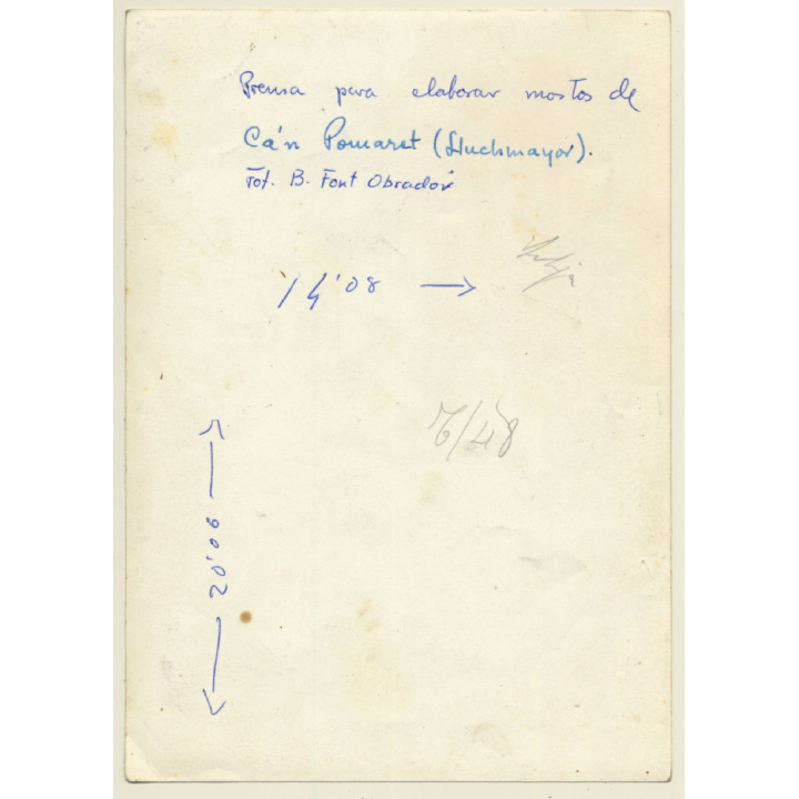 Llucmajor / Mallorca: Prensa Mostos Ca'n Pomaret / Must Press (Vintage Photo  ~1960s)