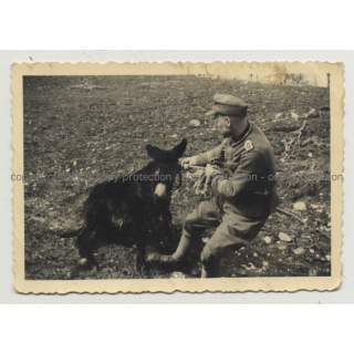 Uniformed German Soldier Tries To Pull A Donkey (Vintage Photo B/W 1944)