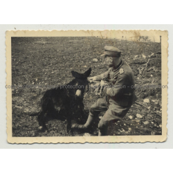 Uniformed German Soldier Tries To Pull A Donkey (Vintage Photo B/W 1944)