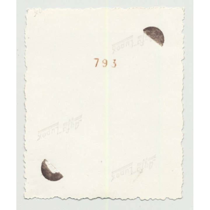 Kid In Soapbox Crashes Into Haystack / Calw - South Germany (Vintage Photo B/W 40s/50s)