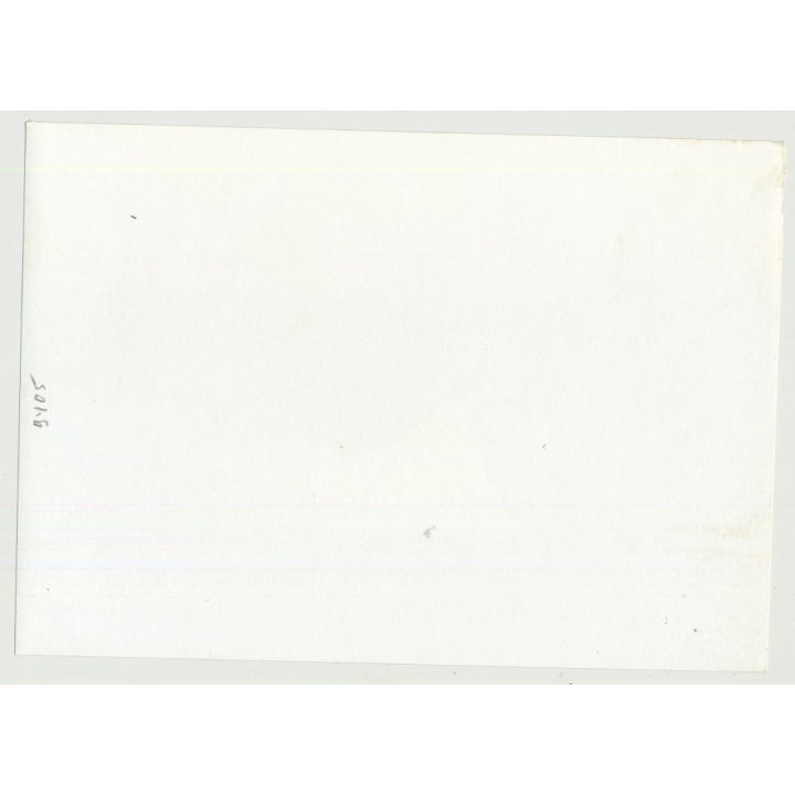 Pensive Semi Nude Laying On Couch / Suspenders - Butt (Vintage Photo DDR 70s/80s)