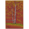 R. Hauber: Birch Forest (Vintage Hand Painted Artist PC ~1900s)