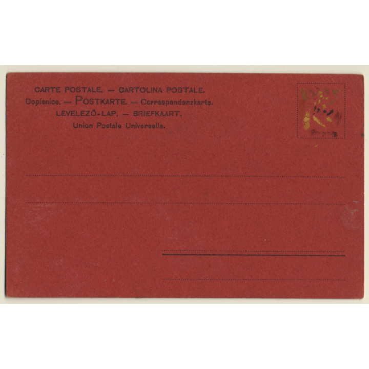 R. Hauber: Birch Forest (Vintage Hand Painted Artist PC ~1900s)