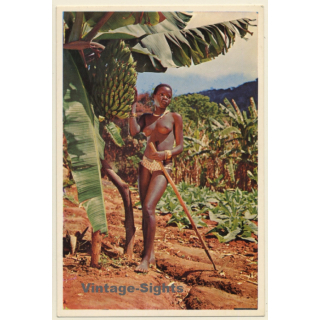 South Africa: Bavenda Maiden / Topless Native Beauty - Risqué (Vintage PC 1965)