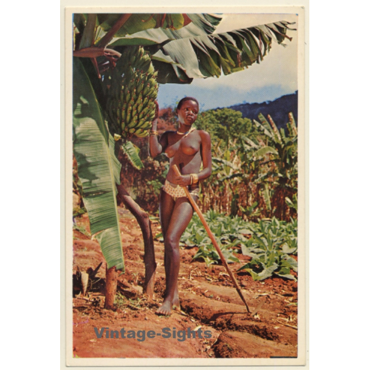 South Africa: Bavenda Maiden / Topless Native Beauty - Risqué (Vintage PC 1965)