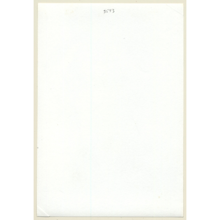 Natural Semi Nude Standing / Panties - Wallpaper (Vintage Photo GDR 1980s)