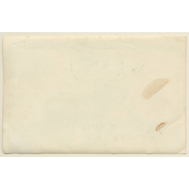 Little Baby Girl With Dog & Teddy Bears (Vintage Photo Sepia ~1920s)