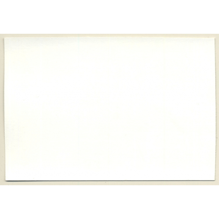 Slim Nude Relaxes On Picnic Blanket / Boobs - Nudism (Vintage Photo GDR ~1980s)