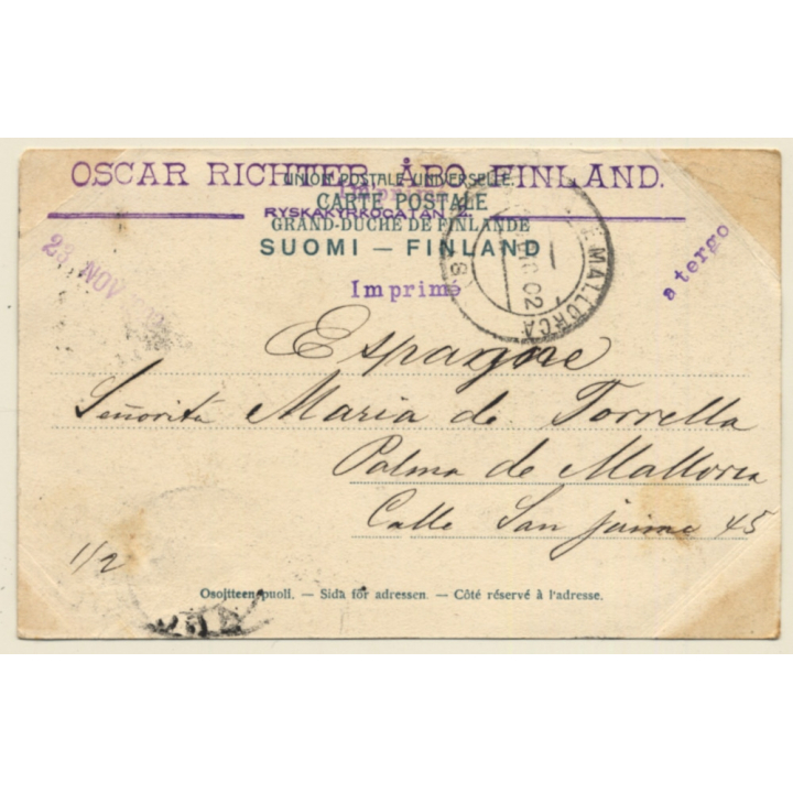 Åbo - Turku / Finland: Per Brahe Statue (Vintage PC 1902)