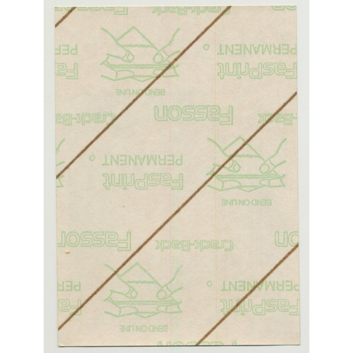 Sally Oldfield In Concert 'Playing In The Flame' (Vintage Promo Sticker 1981)