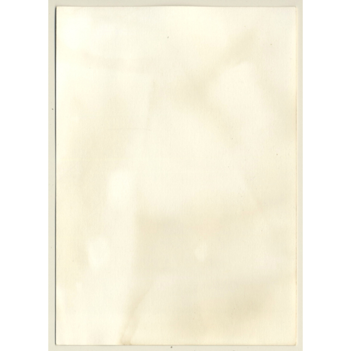 Natural Slim Blonde Semi Nude / Bra - Suspenders (Vintage Photo GDR ~1980s)