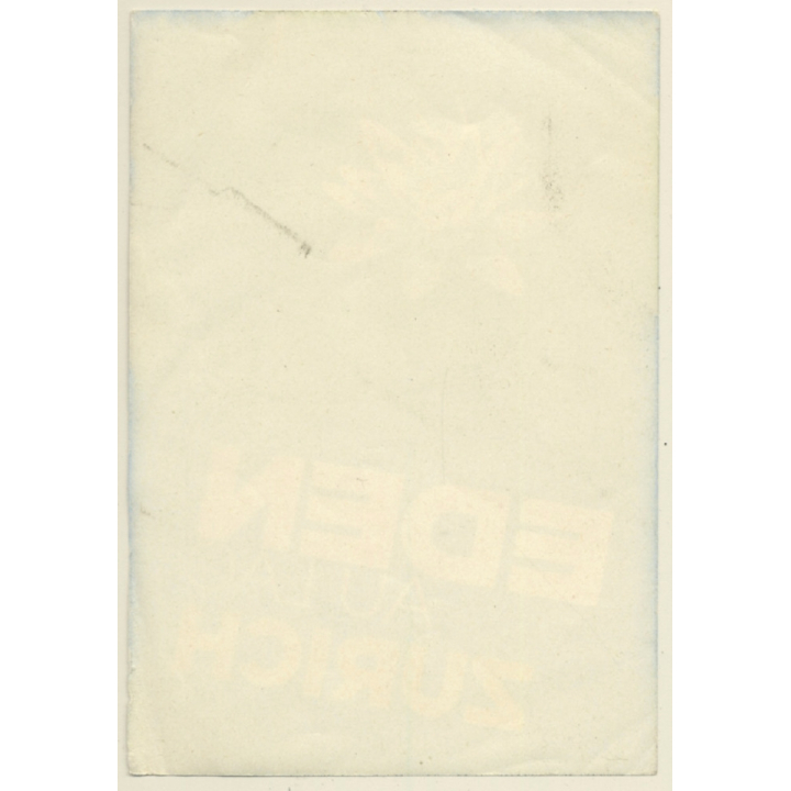 Zürich / Switzerland: Hotel Eden Au Lac - Water Lily(Vintage Luggage Label)