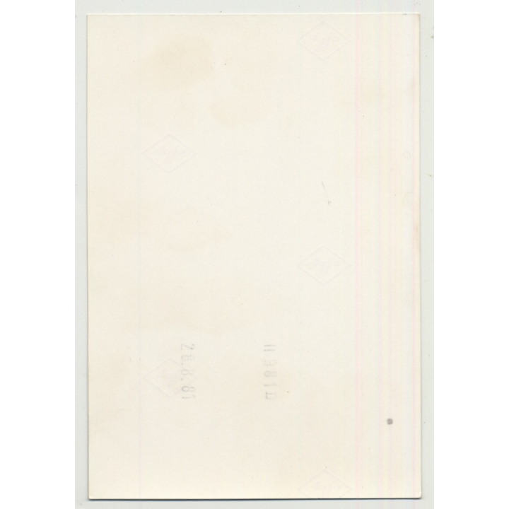 Hot Shot Of Seductive Woman In Silk Dress / GIngerbread Heart (Vintage Photo DDR B/W 1981)