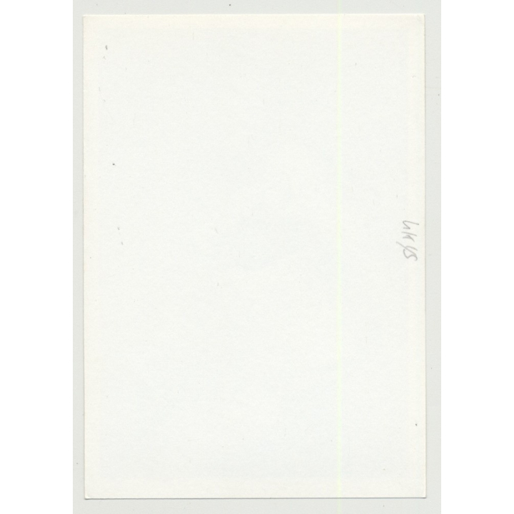 Redhaired 60s Model In Hot Bikini / Eyes (Vintage Photo Risqué B/W 1980s)