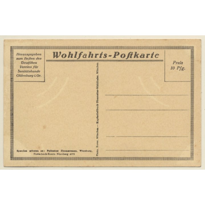 Sanitätshunde Bei Der Rast / Paramedical Dogs (Vintage PC)