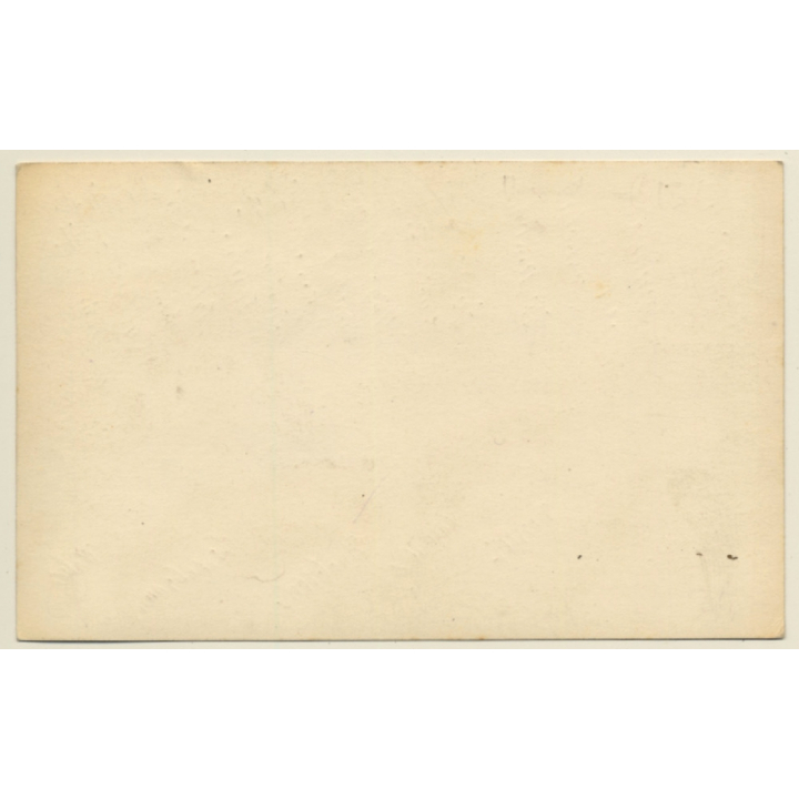 Menin WW1: Group Of GermanSoldiers & Munsterlander Dog (Vintage RPPC 1916)