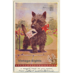 A Message From An Old Friend / Dog Greetings - Yorkshire (Vintage PC 1933)