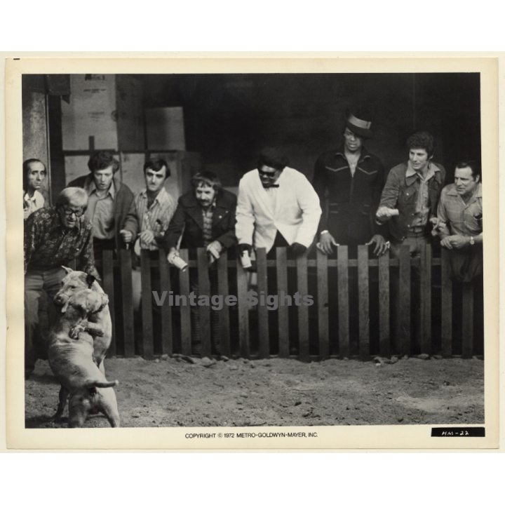 Hitman - Bernie Casey / Blaxploitation Movie - Pitbull Fight (Vintage Movie Still 1972)