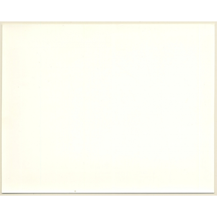 Jacqueline Bisset / Scenes From The Class Struggle In Beverly Hills / Movie Still (Vintage Photo 1989)