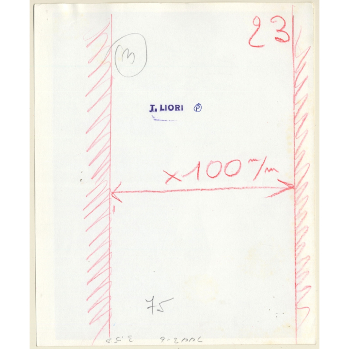 2 Natural Nude Females In Swimming Pool*2 / Lesbian INT (Vintage Photo Master B/W ~1970s)