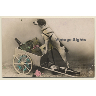 Dog On Trailer / Christmas Greetings (Vintage Hand Colored RPPC 1910)
