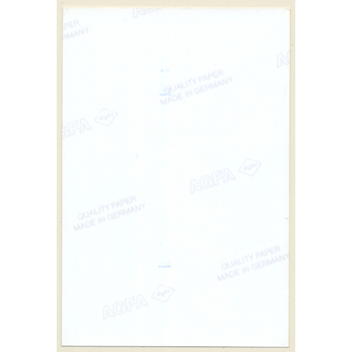 Shorthaired Nude In Transparent Negligee*2 / Blue Eyes (Vintage Photo Germany ~1990s)