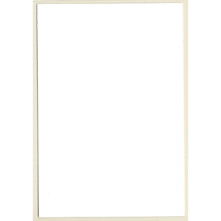 Upper Body Of Natural Nude Blonde*2 / Eyes - Tan Lines (Vintage Photo GDR ~1980s)