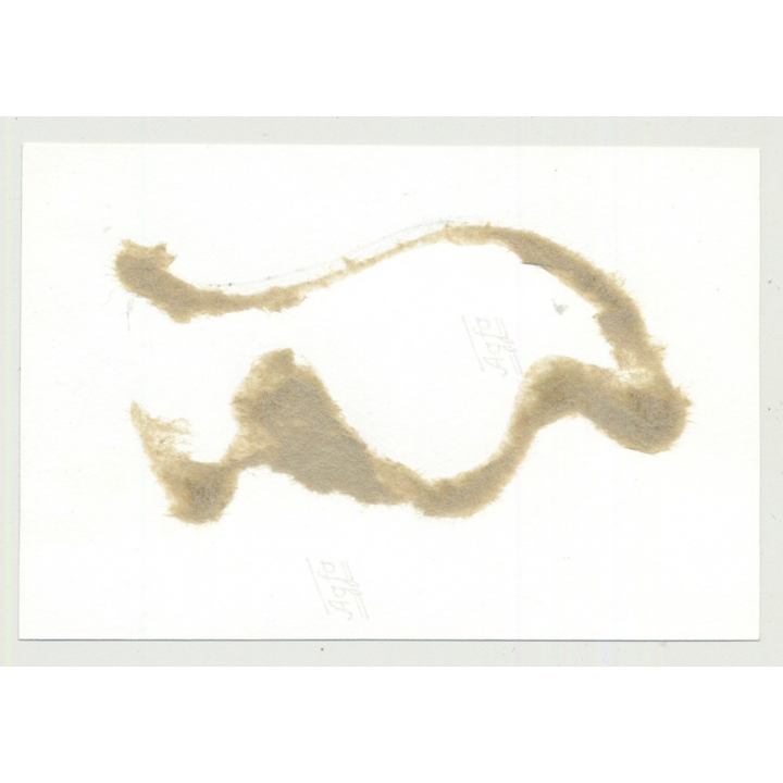 Darkhaired Woman On Floor / Feet In Stock (Vintage Photo B/W BDSM 1964)