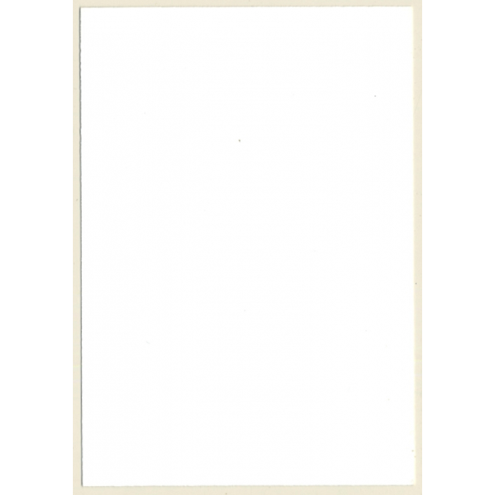 Upper Body Of Natural Nude Blonde*3 / Smile - Boobs (Vintage Photo GDR ~1980s)