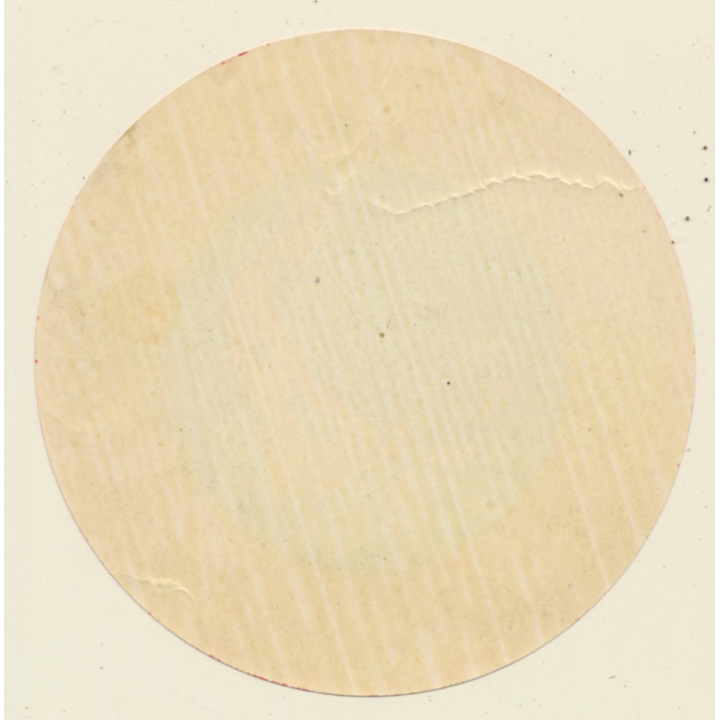 Piestany / Slovakia: Kurhotel (Vintage Luggage Label)