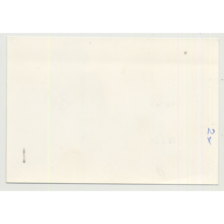 Pretty Longhaired Woman In Bikini / Eyes (Vintage Photo B/W DDR 1981)