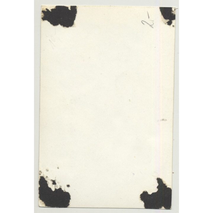 Seductive Busty 50s Pin-Up Eats Grapevine / Suspenders (Vintage Photo 2nd Gen.B/W ~1950s)