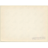 Daniel Balavoine On Stage*4 / Close-up (Vintage Press Photo 1970s/1980s)