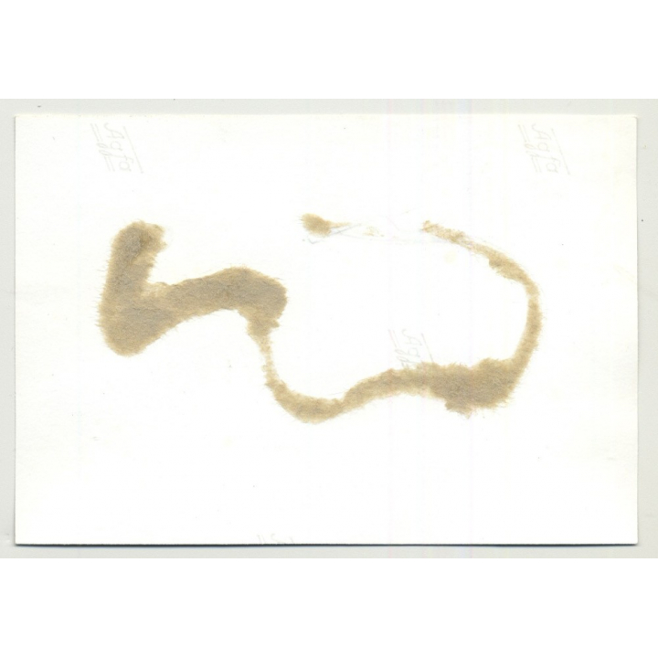 Pretty Darkhaired Female / Hand & Feet In Stock (Vintage Photo B/W 1964)