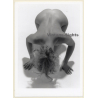 Artistic Nude Study: Slim Blonde Kneeling*1 / Back (Vintage Photo France B/W ~1980s)